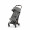 Коляска прогулочная Cybex Coya, Mirage Grey шасси Rose Gold