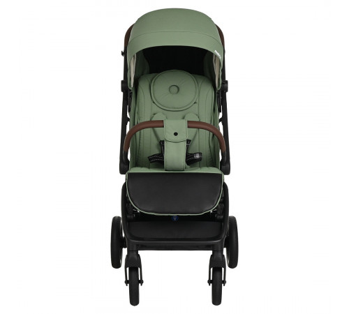 Прогулочная коляска Pituso Matrix XXL, Emerald mood