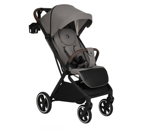 Прогулочная коляска Pituso Matrix XXL, Graphite