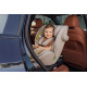 Автокресло Osann One 360 SL 0-36 кг Wheat 