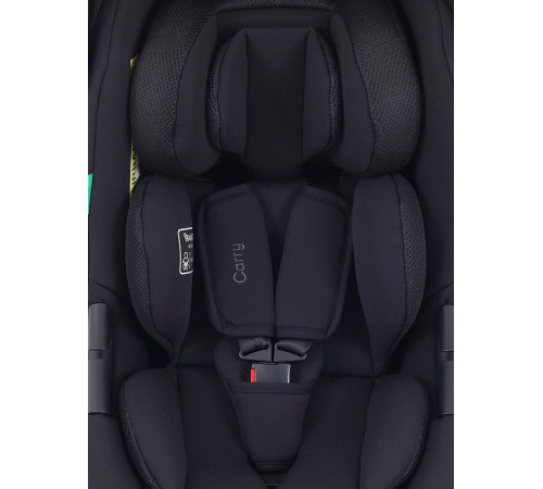Автокресло Rant Carry 2.0 (40-87 см), Black