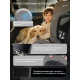 Автокресло Sweet Baby Zenith (15-36 кг) Grey (Серый)
