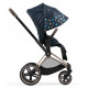 Детская коляска 2 в 1 Cybex Priam IV Jewels of Nature шасси Rosegold (Жемчужины природы)