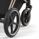 Детская коляска 2 в 1 Cybex Priam IV Jewels of Nature шасси Rosegold (Жемчужины природы)