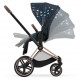 Детская коляска 2 в 1 Cybex Priam IV Jewels of Nature шасси Rosegold (Жемчужины природы)