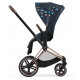 Детская коляска 2 в 1 Cybex Priam IV Jewels of Nature шасси Rosegold (Жемчужины природы)
