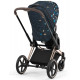 Детская коляска 2 в 1 Cybex Priam IV Jewels of Nature шасси Rosegold (Жемчужины природы)