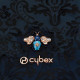 Детская коляска 2 в 1 Cybex Priam IV Jewels of Nature шасси Rosegold (Жемчужины природы)