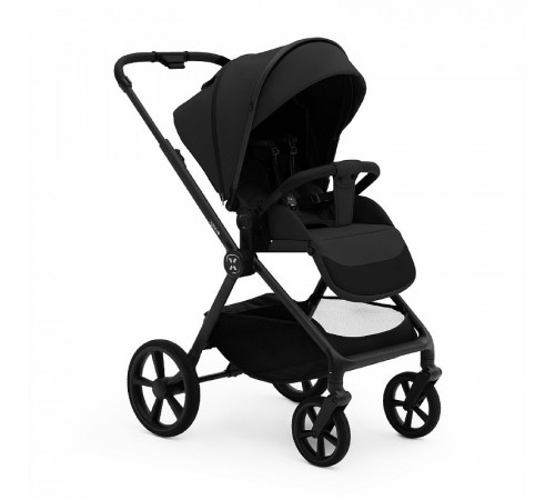 Коляска 2 в 1 Agex Life 2026, Black