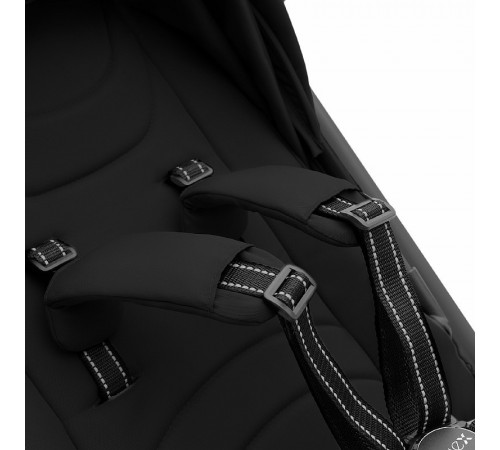 Коляска 2 в 1 Agex Life 2026, Black