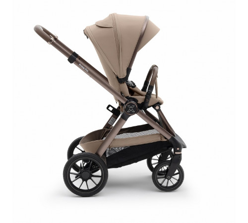 Коляска 2 в 1 Agex Prima Pro, Dune