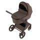 Коляска 2 в 1 Anex Flo, Browny