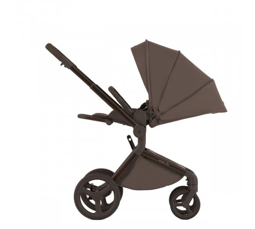 Коляска 2 в 1 Anex Flo, Browny