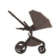 Коляска 2 в 1 Anex Flo, Browny