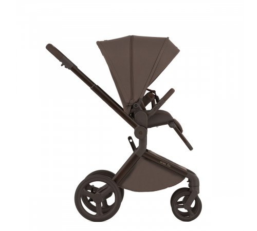Коляска 2 в 1 Anex Flo, Browny