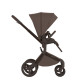 Коляска 2 в 1 Anex Flo, Browny
