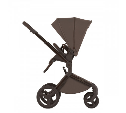 Коляска 2 в 1 Anex Flo, Browny
