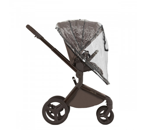 Коляска 2 в 1 Anex Flo, Browny