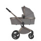 Коляска 2 в 1 Anex Flo, Charm