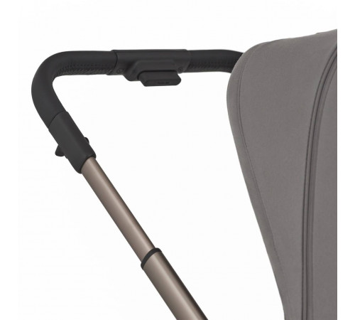 Коляска 2 в 1 Anex Flo, Charm