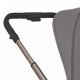 Коляска 2 в 1 Anex Flo, Charm