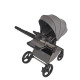 Коляска 2 в 1 Anex Flo, Charm