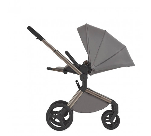 Коляска 2 в 1 Anex Flo, Charm