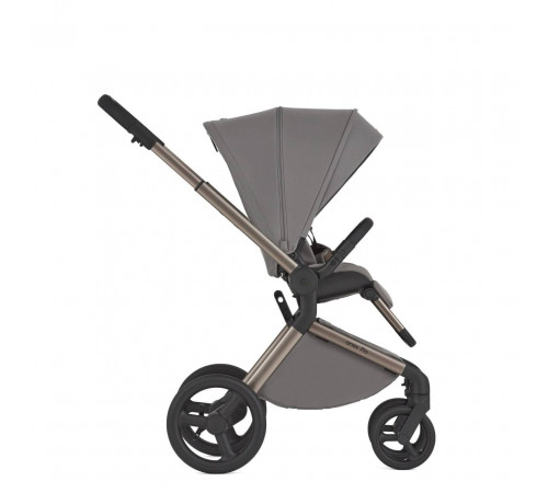 Коляска 2 в 1 Anex Flo, Charm