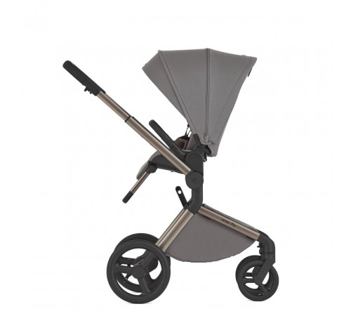 Коляска 2 в 1 Anex Flo, Charm
