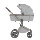 Коляска 3 в 1 Anex Flo, Frossy