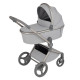 Коляска 2 в 1 Anex Flo, Frossy