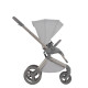 Коляска 3 в 1 Anex Flo, Frossy