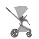 Коляска 3 в 1 Anex Flo, Frossy