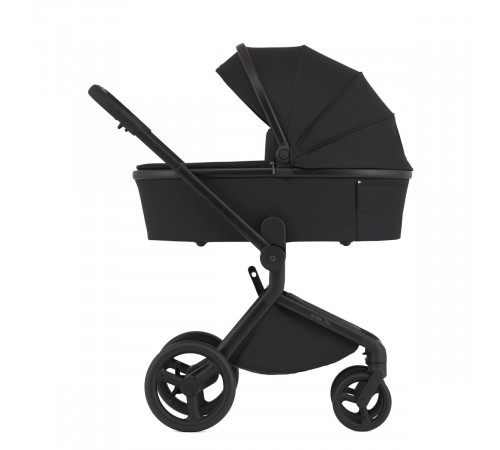 Коляска 2 в 1 Anex Flo, Lungo