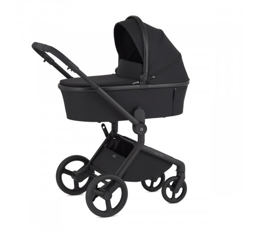 Коляска 2 в 1 Anex Flo, Lungo