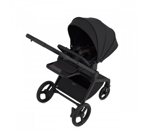Коляска 2 в 1 Anex Flo, Lungo