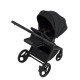 Коляска 2 в 1 Anex Flo, Lungo