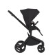 Коляска 2 в 1 Anex Flo, Lungo