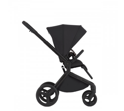 Коляска 2 в 1 Anex Flo, Lungo