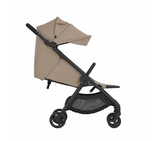 Коляска 2 в 1 Anex iQ Base Honey