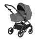 Коляска 2 в 1 Anex iQ Base Lune