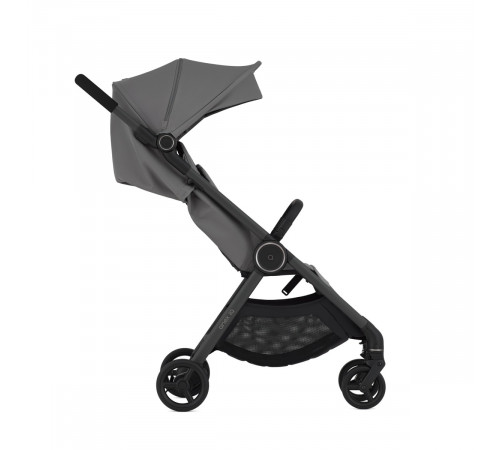 Коляска 2 в 1 Anex iQ Base Lune