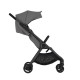 Коляска 2 в 1 Anex iQ Base Lune