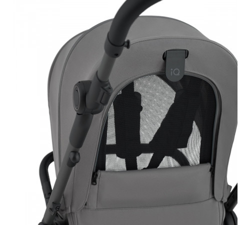 Коляска 2 в 1 Anex iQ Base Lune