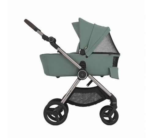 Коляска 2 в 1 Anex IQ Premium Olly
