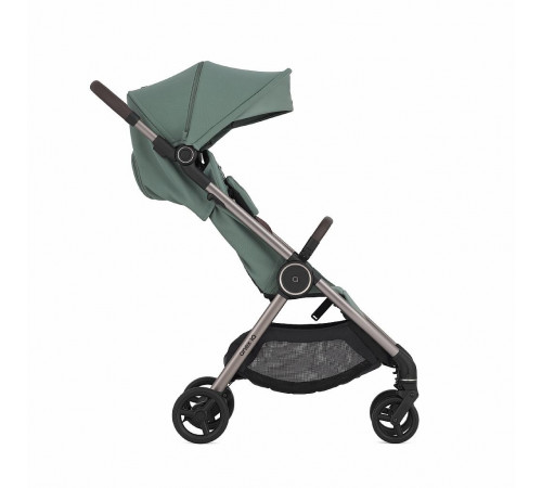 Коляска 2 в 1 Anex IQ Premium Olly