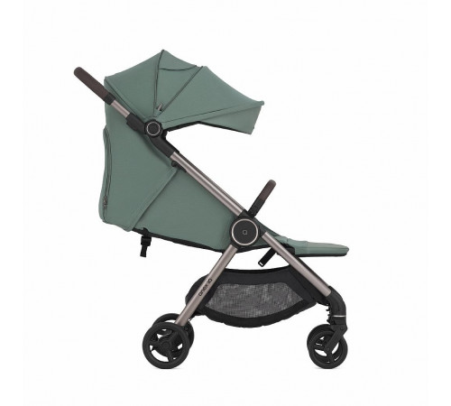 Коляска 2 в 1 Anex IQ Premium Olly