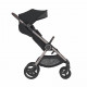 Коляска 2 в 1 Anex IQ Premium Starless