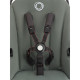 Коляска 2 в 1 Bugaboo Fox Cub, Forest Green