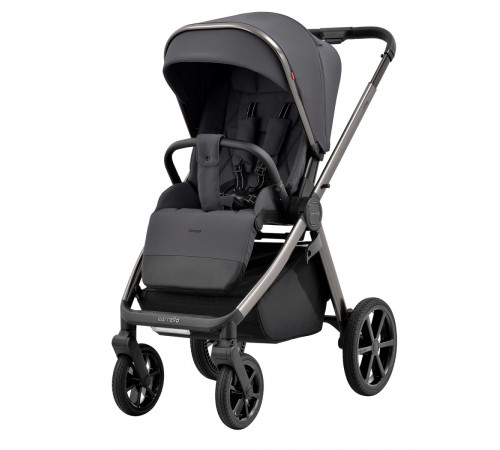 Коляска 2 в 1 Carrello Omega CRL-6530/1, Excellent Grey